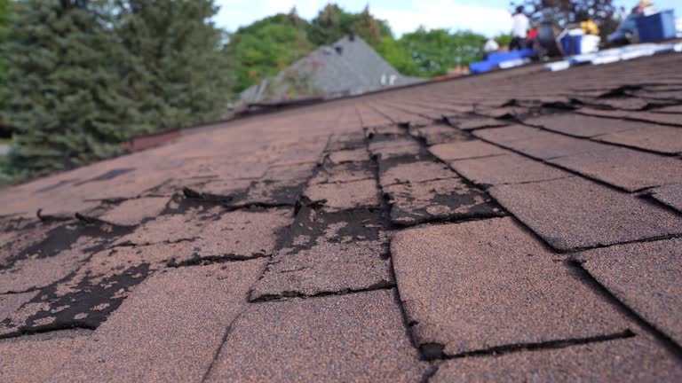 Best Green or Eco-Friendly Roofing Solutions  in Mckinley, PA